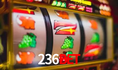 Bônus Diários 236bet